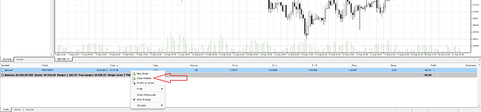 0.50 lot forex