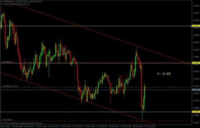Forex 5 pips daily