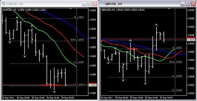 Gator trading system