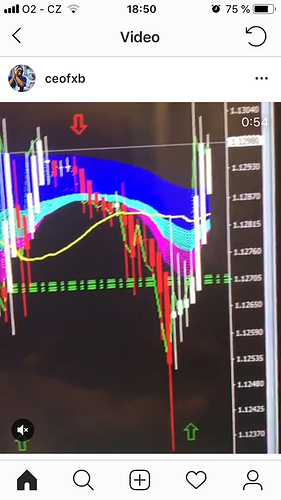 Max trading system manual