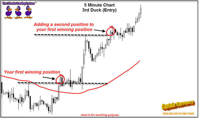 Cd brilliant forex system