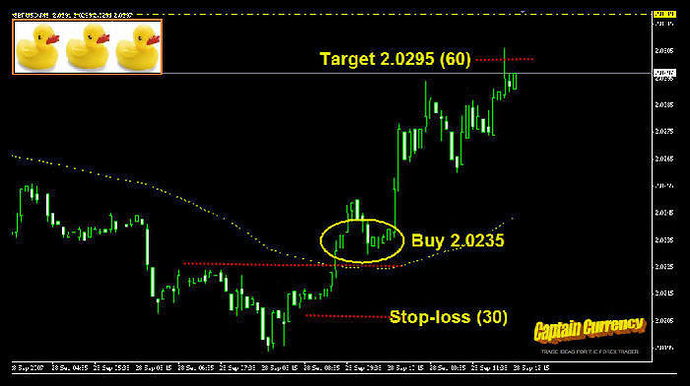 Forex 3 ducks trading system