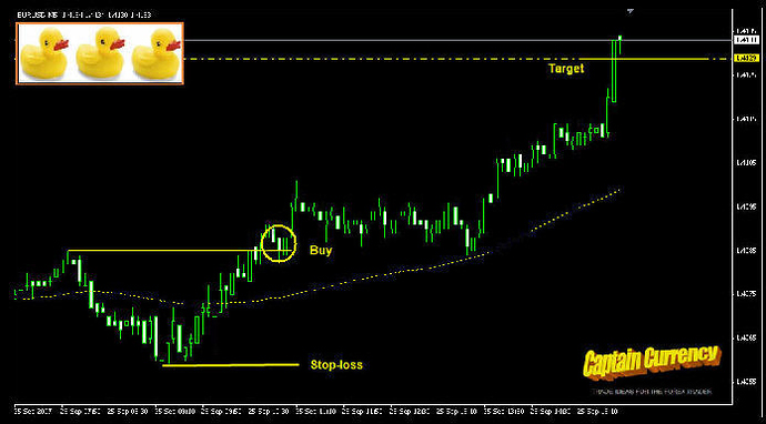 3 duck's trading system ea