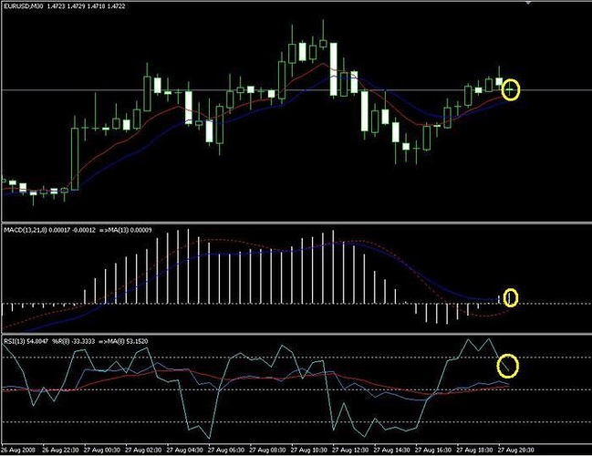10 pips trading system