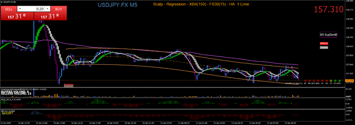 USDJPY.FXM5 1-13