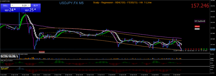 USDJPY.FXM5 1-13 2