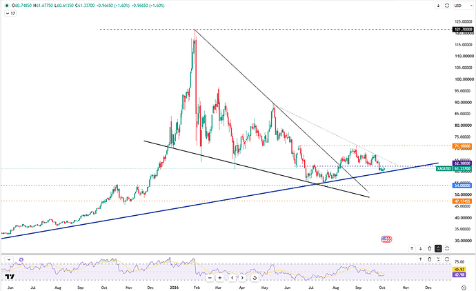 silver-rebounds-above-dollar61-7336
