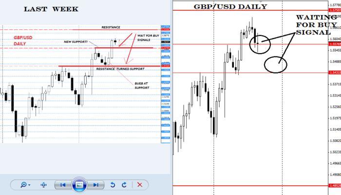 Forex price action forum