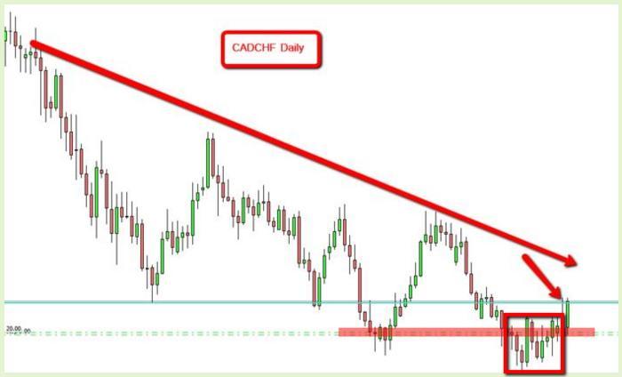 Can someone trade forex for me
