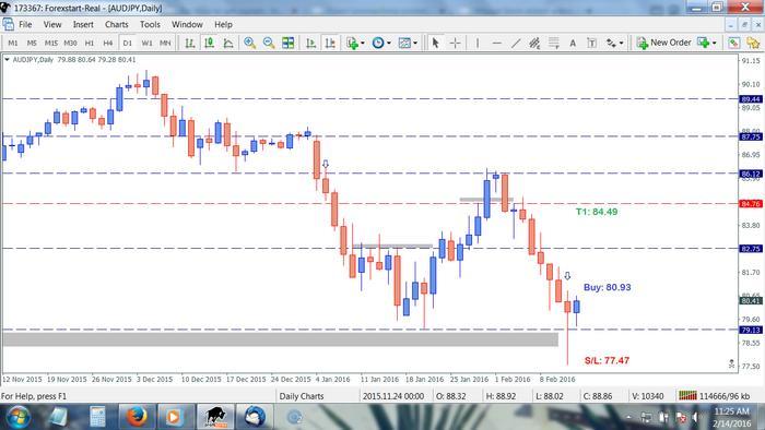 I am looking for forex traders