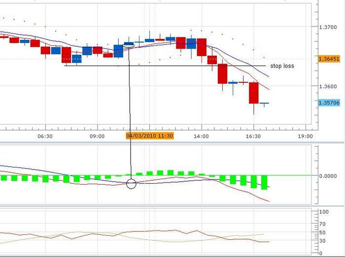 Forex 20 pips per day