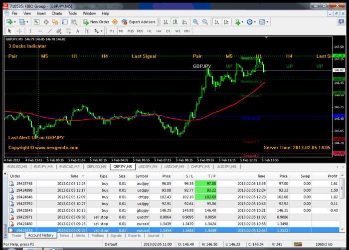 3 ducks trading system download