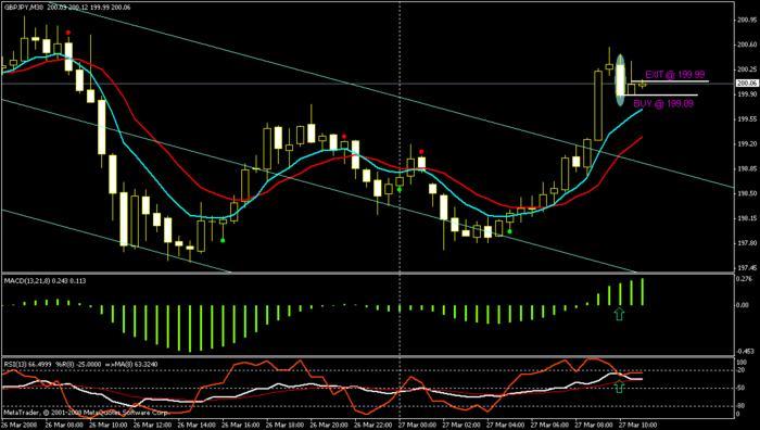 10 pips trading system