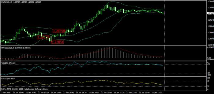 40 pips daily forex