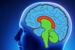 mind2