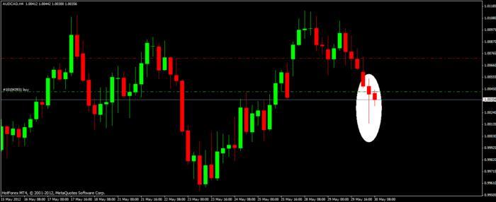 Forex xl course