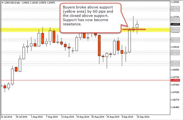 Nickb forex