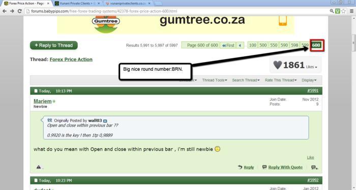 Forex school online forum