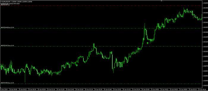Forex 80 win