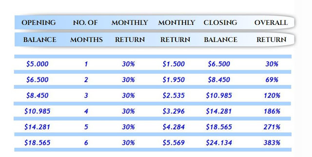 WEB FRONT 30% MONTHLY RETURN 6 MONTHS 383%
