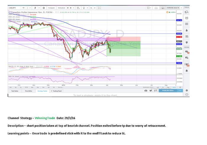 I am looking for a forex trader