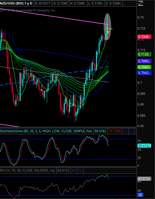 Risk free forex trading system
