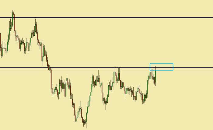 Forex price action forum