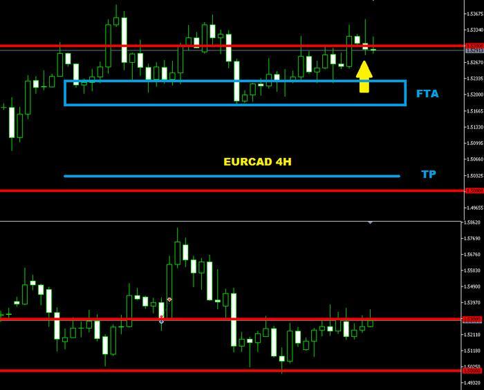 Forex price action forum
