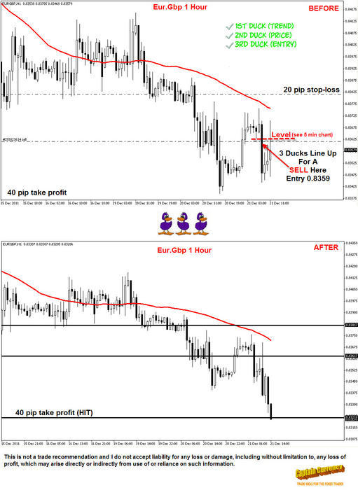 Three ducks trading system ebook