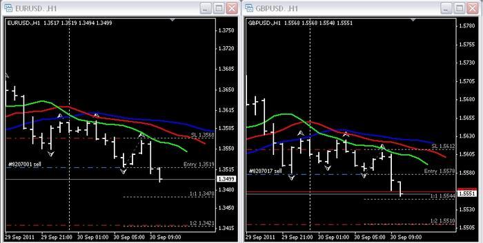 Gator trading system