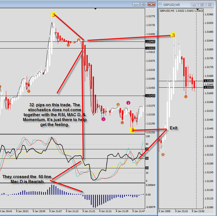 Set up forex trading company