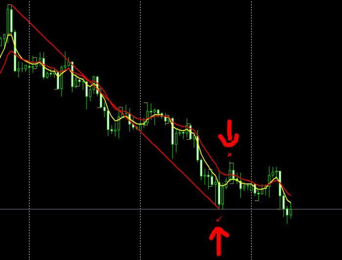 Ahmed maher forex