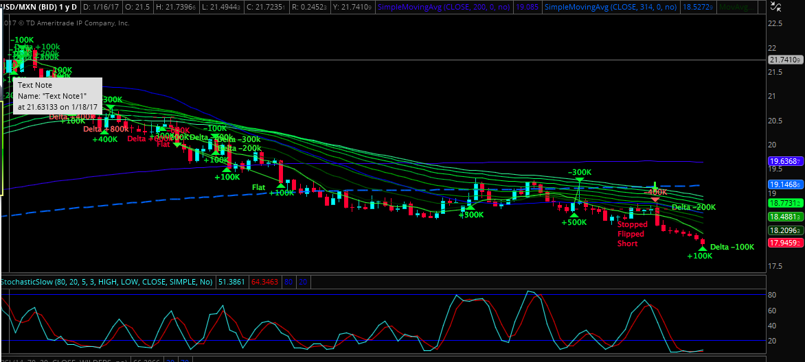 Risk free forex trading system