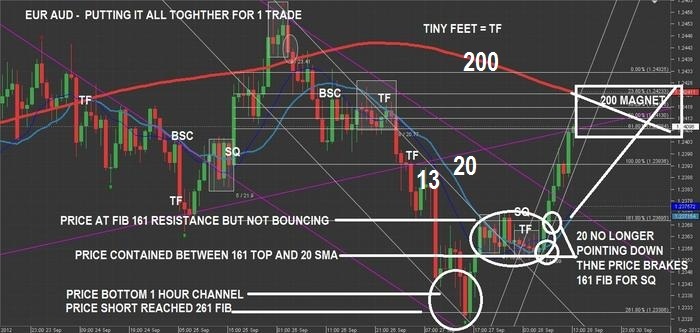 Anyone trade forex for a living