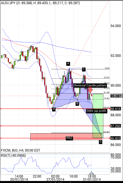 Forex price action forum