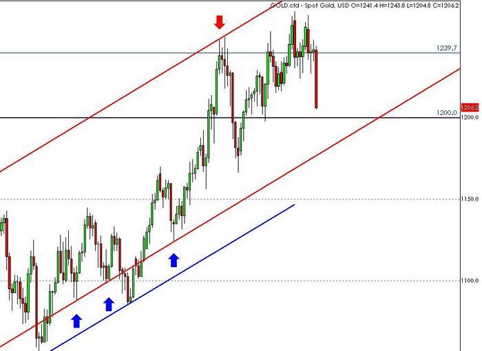 Forex 1d