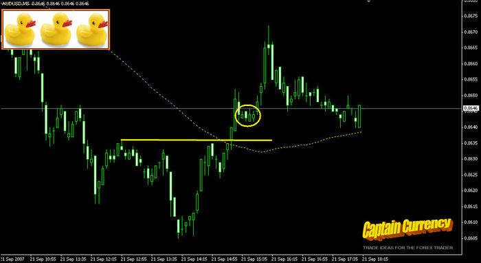 3 ducks trading system ea