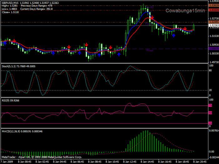 Forex cowabunga system mt4 indicator