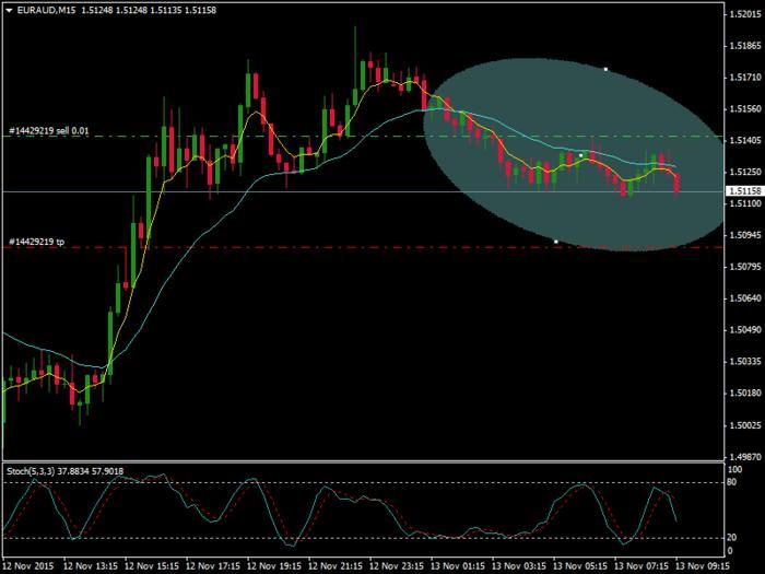 Forex beginner forum