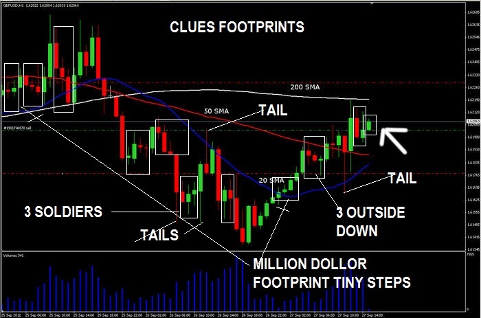 Anyone trade forex for a living