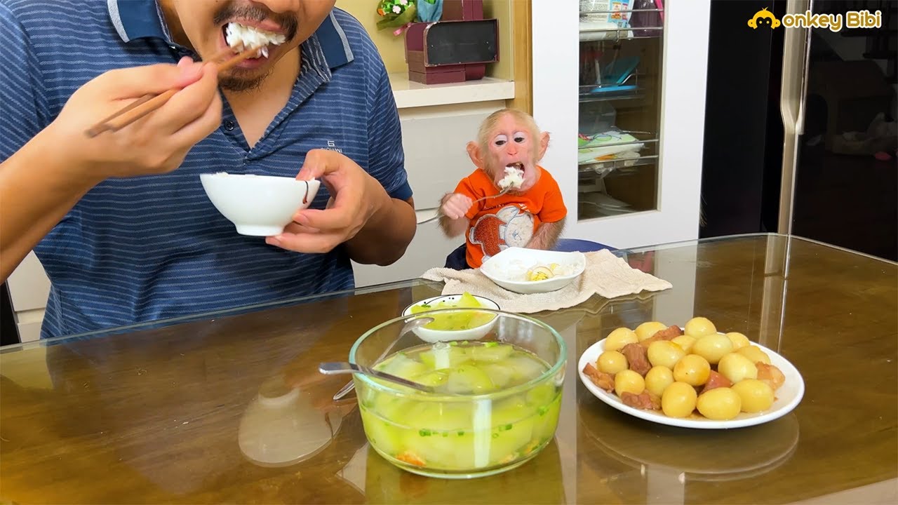 Monkey BiBi and dad eat simple but full of love!
